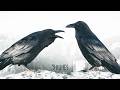 Huginn Muninn Odin S Eyes Viking Song Official Music Video 