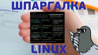 Linux шпаргалка + 56 языков программирование и поиск по Stack Overflow | cheat.sh | UnixHost