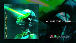 Volfodemo - While We Work