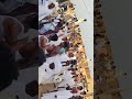 جديد الفنان محمد نايل 2026