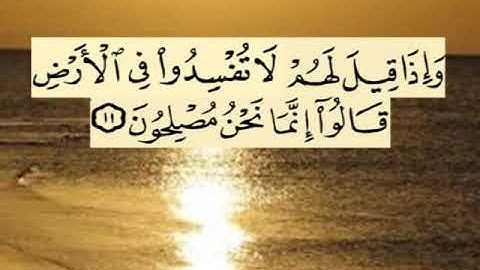 سورة البقرة اية ١١ جمال القرش