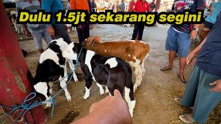 MEROKETβοΈTERBARU PEDET NYUSU 1.5JT JADI HARGA SEGINI MEROKETβοΈTERBARU PEDET NYUSU 1.5JT JADI HARGA SEGINI