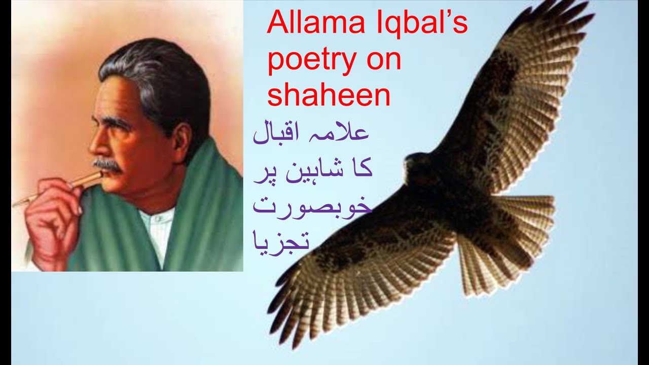 Allama Iqbal's poetry about Shaheen - YouTube