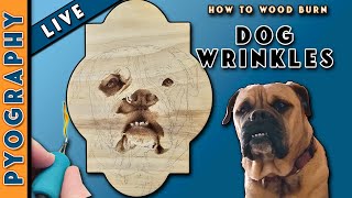 How To Do Pyrography Like A Pro: Wood Burning A Bull Mastiffs Wrinkles PT 3
