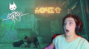 STRAY GAMEPLAY- You get to play as a cat!! Part 1