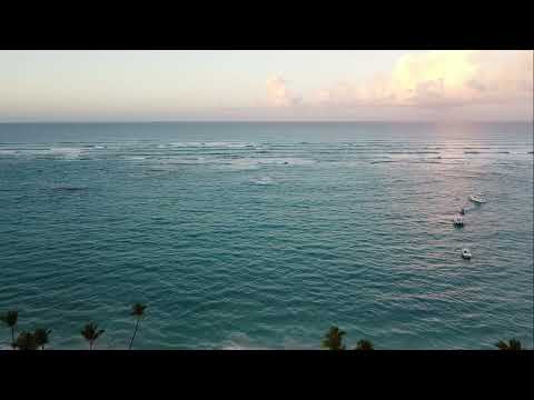 Grand Palladium Punta Cana Resort & Spa. Mid January 2022. Quad Footage