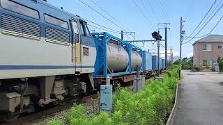 サービス警笛あり！EF66-123  1097レ 川崎貨物〜笠寺  約17時間遅れ