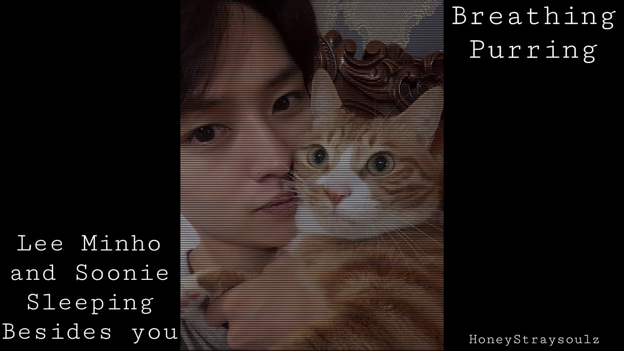 {ASMR} 🐈 Sleeping besides Minho and Soonie🐈