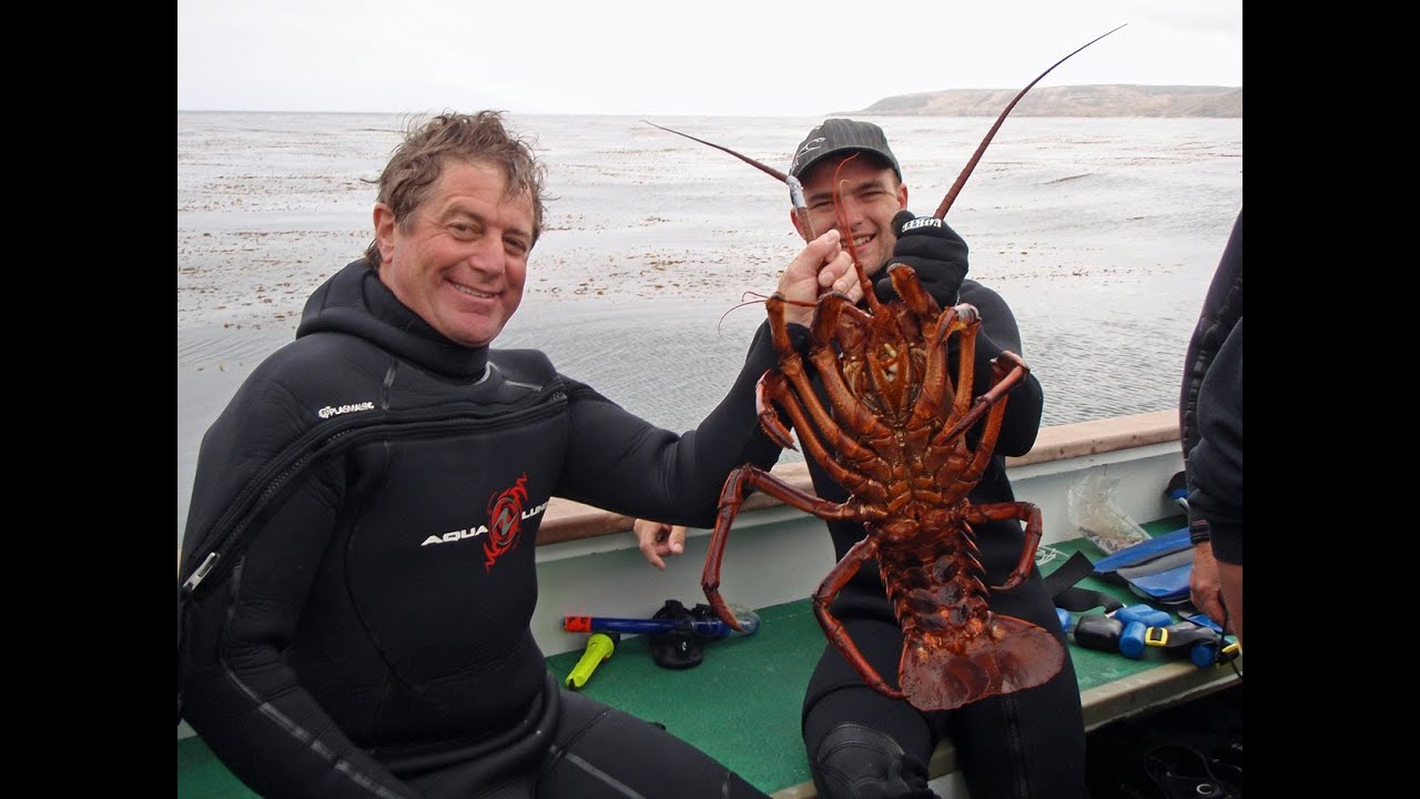 October 2013 California Spiny Lobster Diving Salt Water Revival Dive
