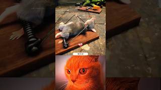 Rat Power Ll Cat Bombastic