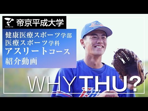 紹介動画