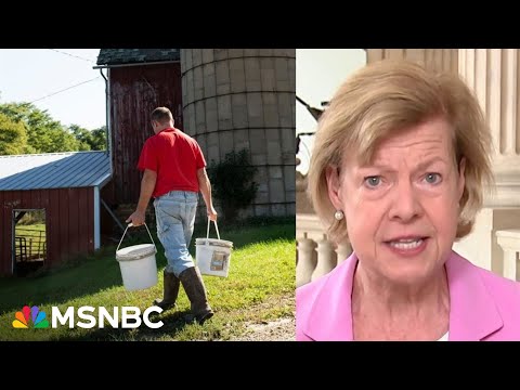 Interview with Senator Tammy Baldwin on Wisconsin's Economic Concerns Over New Tariffs
