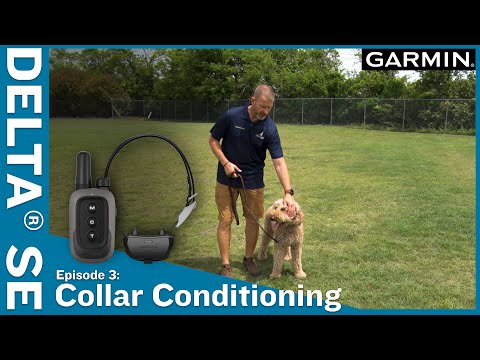 Ep. 3 Selecting a Level – Delta® SE handheld & dog collar - YouTube