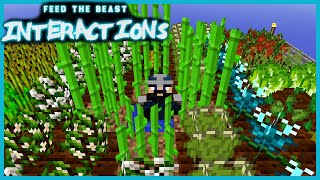Back In The Farm! :: FTB Interactions #2