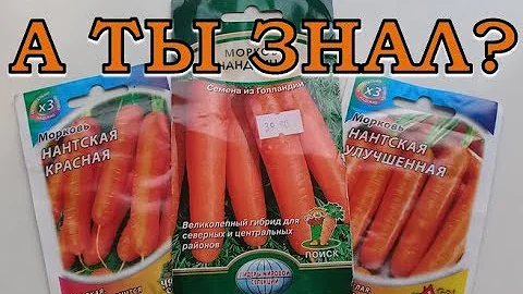 ЛУЧШИЕ сорта МОРКОВИ для посева под зиму