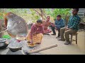Sankar Fish Curry Cooked by Santali Men | Village Style Ray Fish Cooking