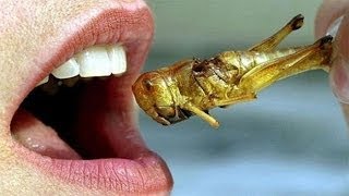 25 Disturbing Food Facts That Will Keep You Up At Night