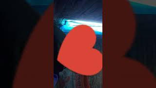 DJ asu lama suka dia