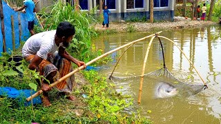 Amazing Net Fishing In Bangladeshi Village Pond - Traditional Net Fishing 
