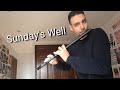 Sunday's Well on Irish flute