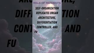 Organoid Culture