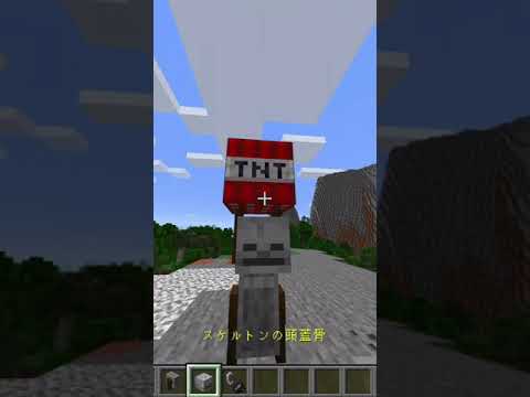 砥石 スケルトンヘッド Tnt Shorts Minecraft マイクラ Youtube