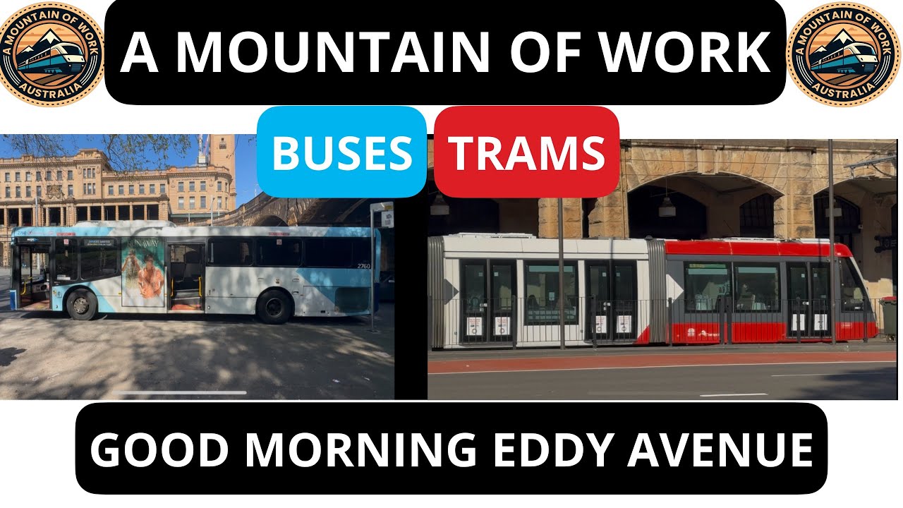 Good Morning Eddy Avenue | NSW | Buses | Trams/Light Rail 
