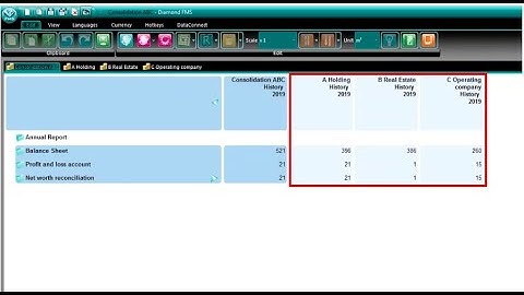 Consolidation Part 3 - Consolidation Analyze Functionality & Correction Column