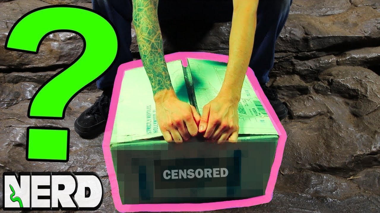 vlogs in spanish UNBOXING SOMETHING? - Huge Rock Iguana - Vine Snake! VLOG# 11