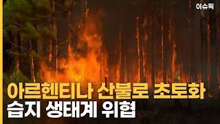 아르헨티나 산불로 서울 면적 13배 초토화 습지 생태계…