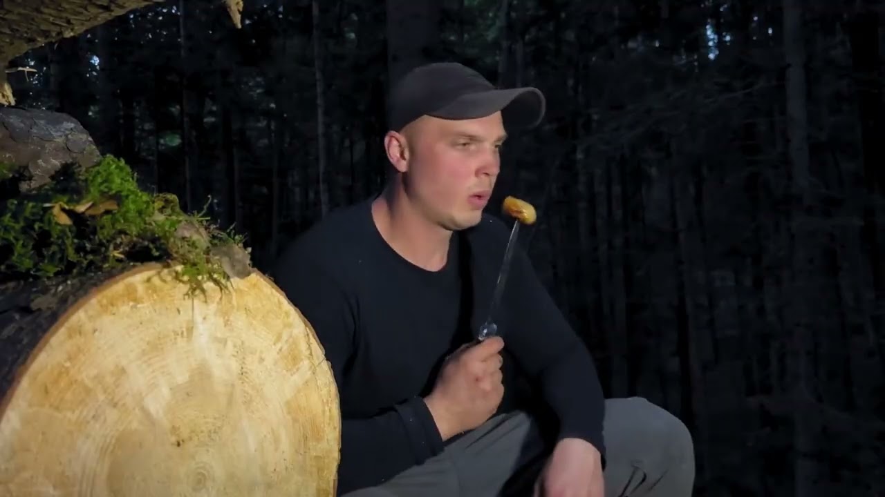 Venture deep into the jungle and build your own sturdy shelter.