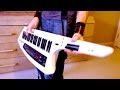 Galneryus - Voice of the Grievous Cry - Keytar Solo