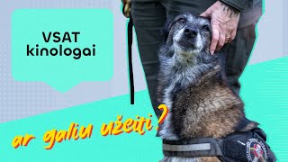 Kaip ruošiami tarnybiniai šunys? VSAT kinologijos centras iš arti | Ar galiu užeiti?