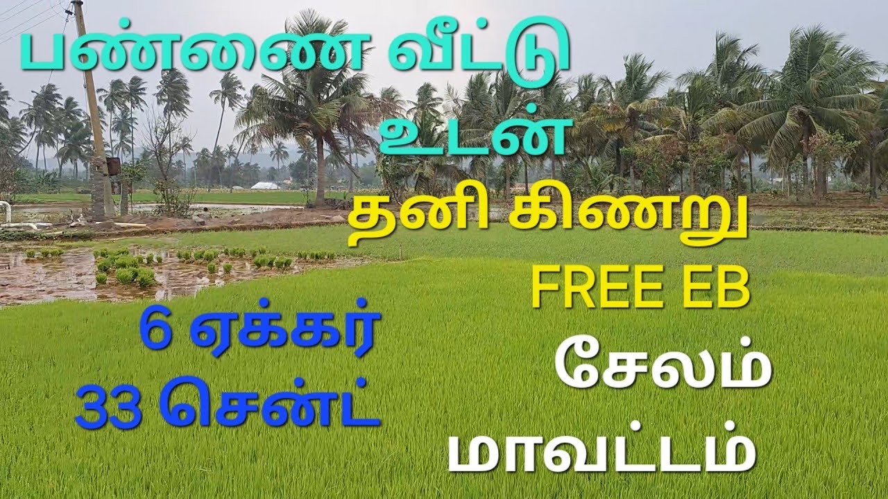239 ) நல்ல தண்ணீர் வசதி உள்ள செம்மண் பூமி 6 ஏக்கர் 33 சென்ட் விற்பனைக்கு .