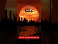 Muhammad Name beautiful#evening#viralvideo#ytshorts#shortsfeed#goviral#muhammadﷺ#urdupoint#urdu