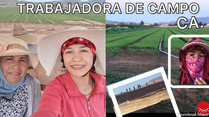 En esto estoy trabajando | TRABAJADoRA DE CAMPO en...