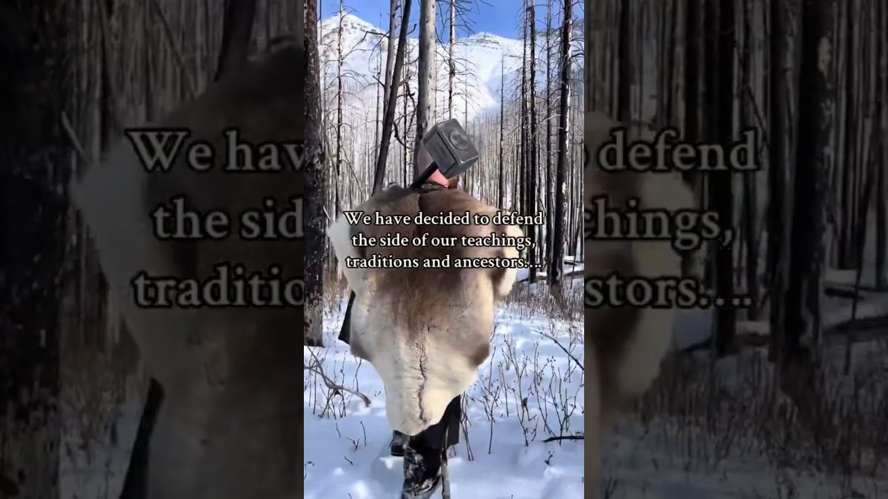 The Vikings have sided with…. 