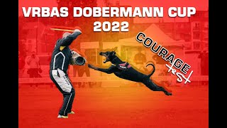 II Vrbas Dobermann Cup - Courage Test by Filip Lazarevic 1,116 views 1 year ago 8 minutes, 58 seconds