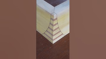 The Twisted Spline Miter #shorts #woodworking #diy