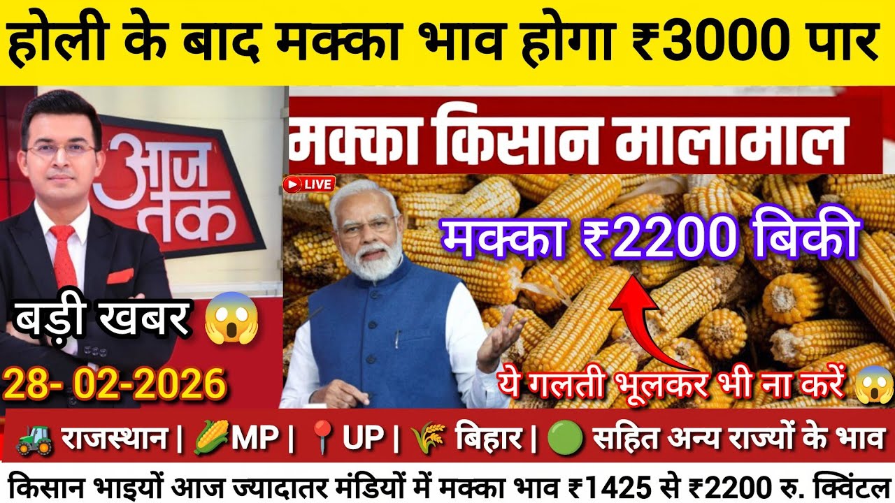 मक्का ₹2200 पार 🔥 क्या होली के बाद ₹3000 पहुंचेगा? | 28 फरवरी 2026 मक्का मंडी भाव | Rajasthan MP UP 