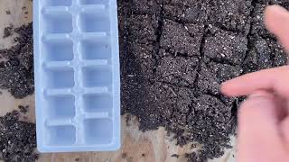 Cheap ways to make your own soil blocks | diy soil blocks | ice cube tray soil blocks