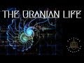 Uranus Opposition | Integrating Uranian Frequency | The Uranian Life | Raising Vibrations