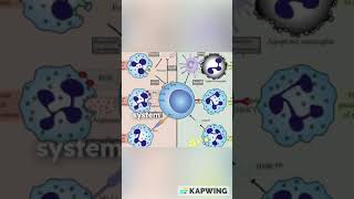Viruses are tiny invaders V1