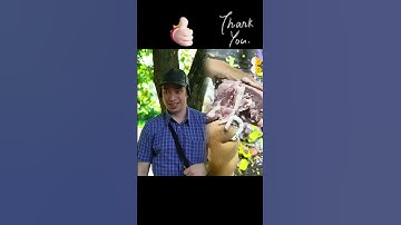 Part 92 Like, comment, subscribe! Let