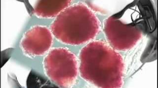 Novo Story of Insulin - Part 1 - Jim Turner