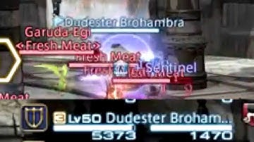 [FFXIV] Tanking a Limit Break