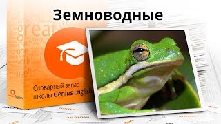 Тема: Тема: