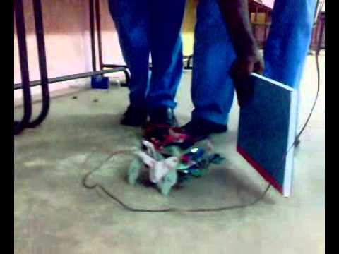 Hexapod Robot