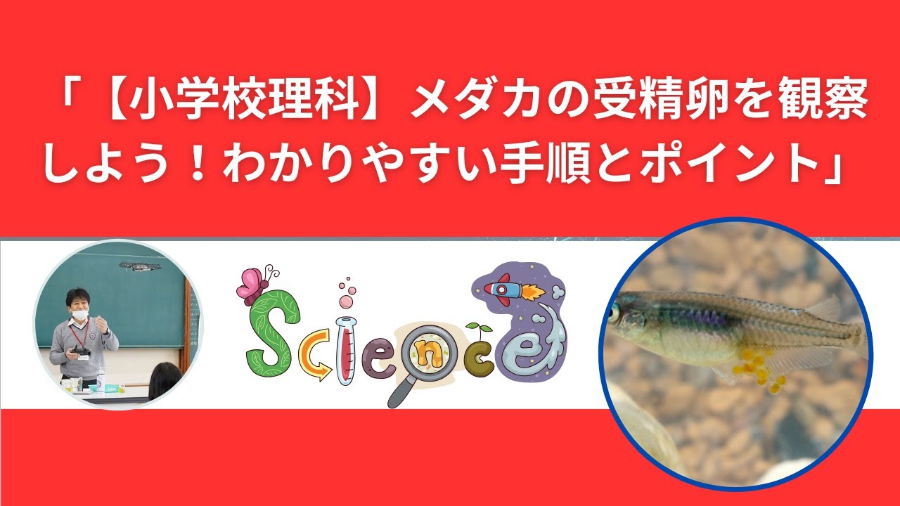 受精卵採取に関する証明書 様式 , 元生畜第441号 令和元年7月26日 – MZFA