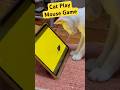 Jandell the Cat Plays Mouse Game #cat #cute #animals #funny